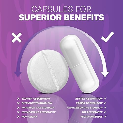 Miniatura 8 de TrueSeaMoss Cápsulas de musgo marino irlandés, 120 cápsulas de saúco (1600 mg) - Extractos de frutas superalimento - para el bienestar general
