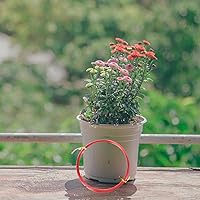 Vista 2 de Yardwe Bonsái árbol modelado alambre 6pcs soporte línea aluminio para tejer metal valla poste titular