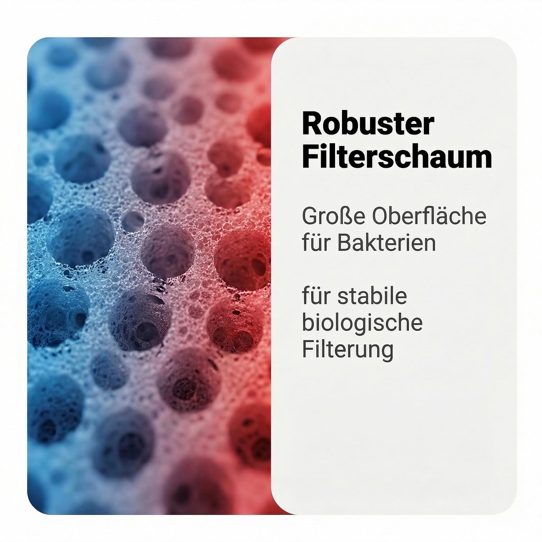 Pondlife Filterschwamm Teichfilter 6er-Set, kompatibel mit Oase BioTec 10, 25 x 25 x 8 cm, Filterschaum geschlitzt, 3X Blau grob 10 ppi + 3X Rot fein 30 ppi, Ersatz-Filterschwämme Gartenteich