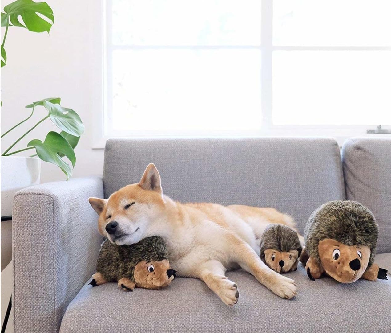 Hedge Hog Dog Toys Cute Plush Fuzzy Soft Faux Fur Canine Friend Cuddle Buddies (Jumbo)