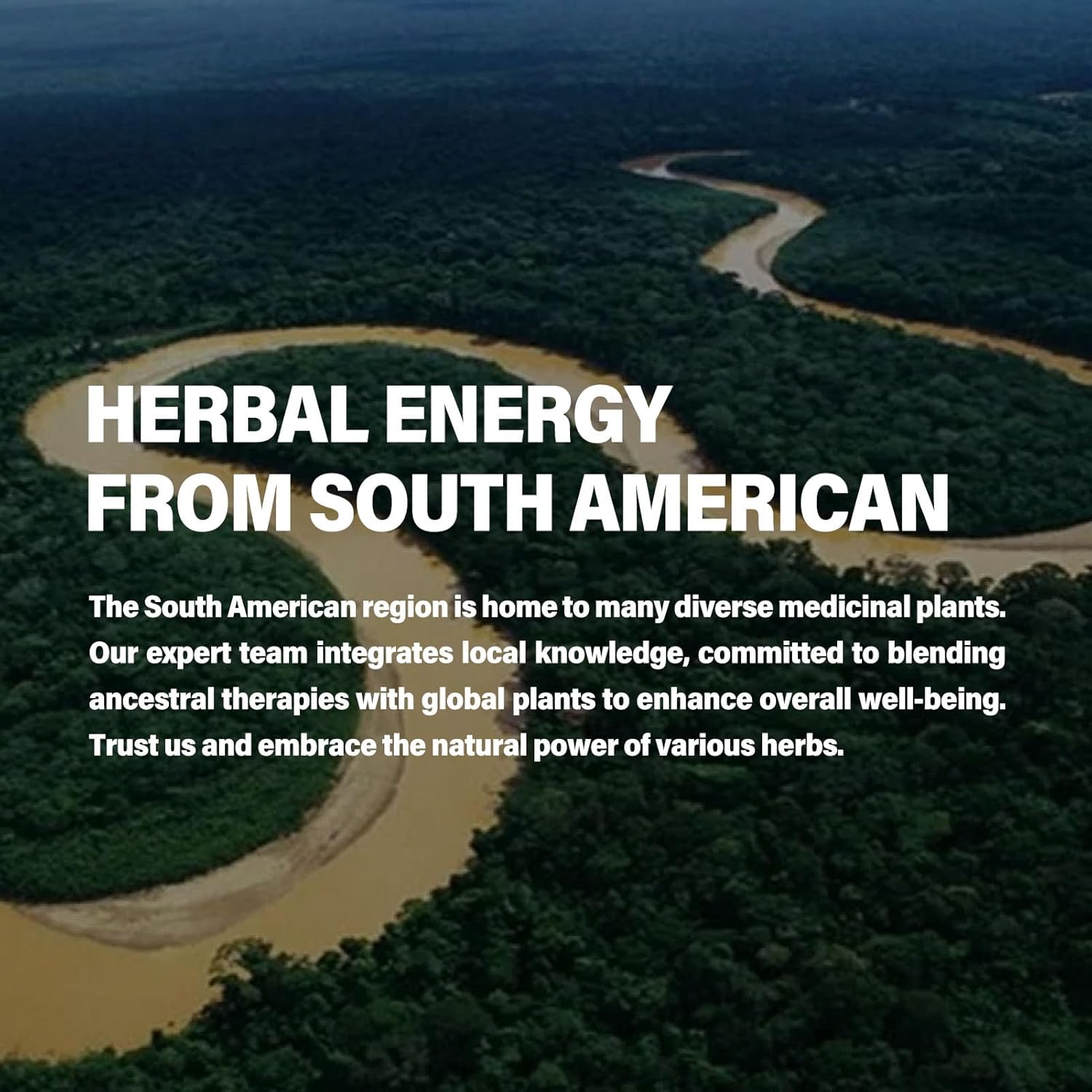 Dong Quai Liquid Drops, 100% Natural Herbal Extract for Hormone Balance, Menopause Relief & PMS Support. 2oz