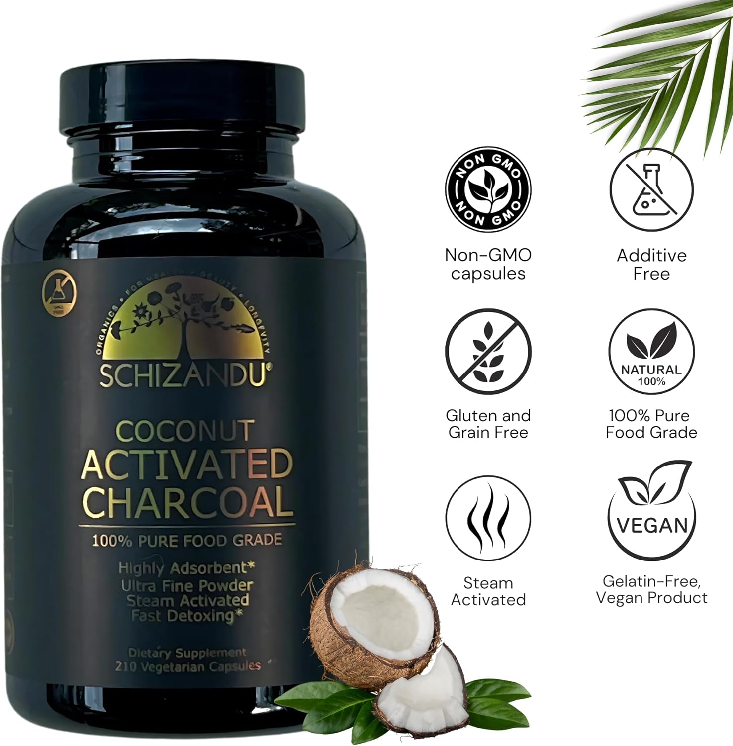 Schizandu Activated Coconut Charcoal Capsules – Vegan, Organic, Non-GMO, No Additives – 210 Count, X-Large Bottle
