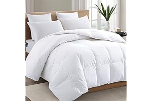 TEXARTIST Premium 2100 Series Queen Comforter: The Ultimate Cooling Down Alternative