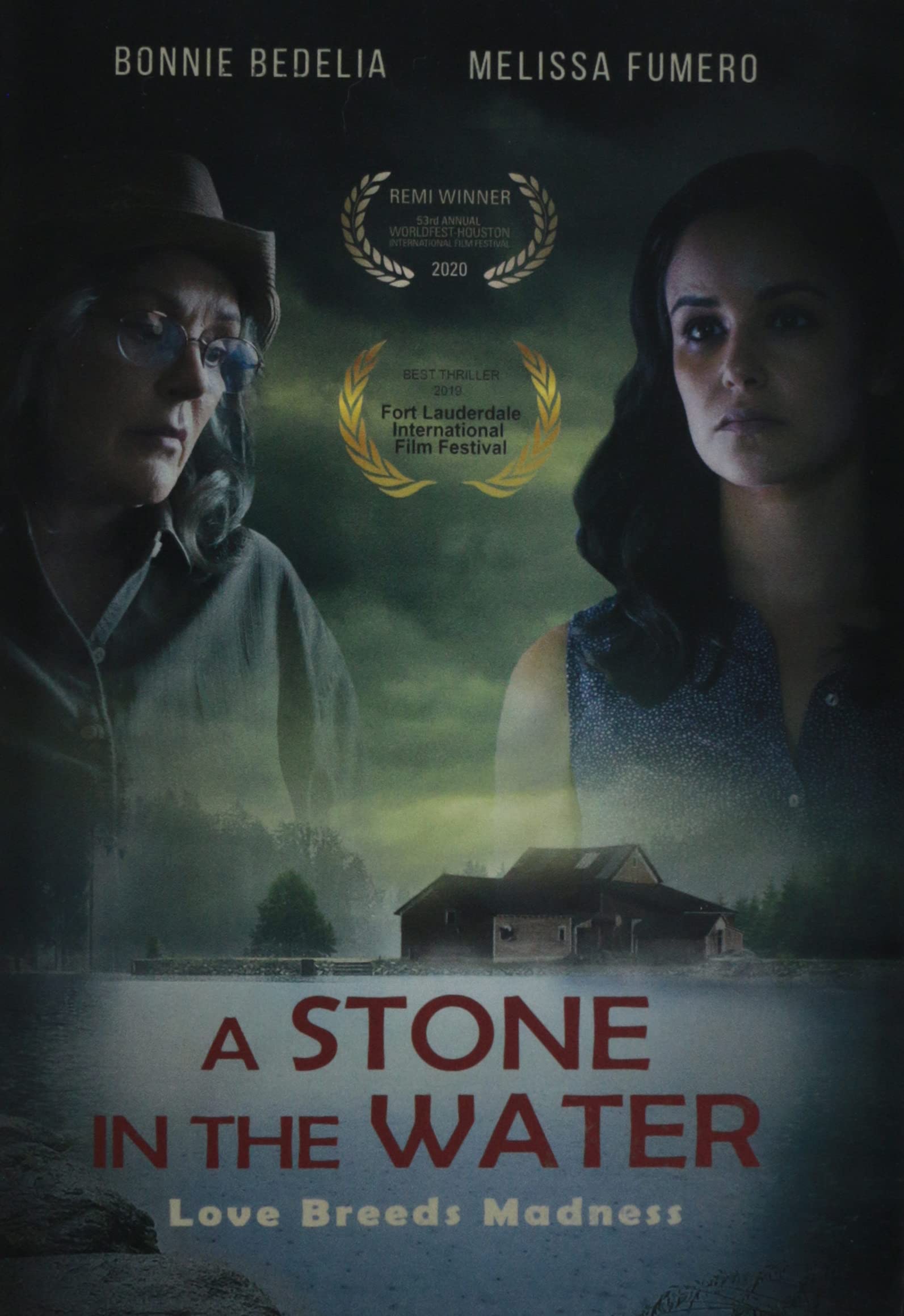 A Stone in the Water DVD edición original de USA para videotecas exclusivas