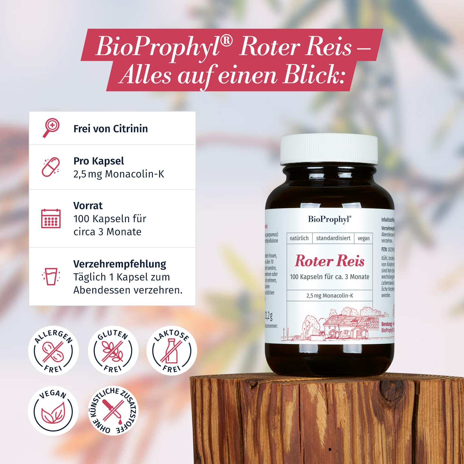 Roter Reis 2,5 mg Monacolin-K aus Monascus Purpureus - 100 Kapseln hochdosiert