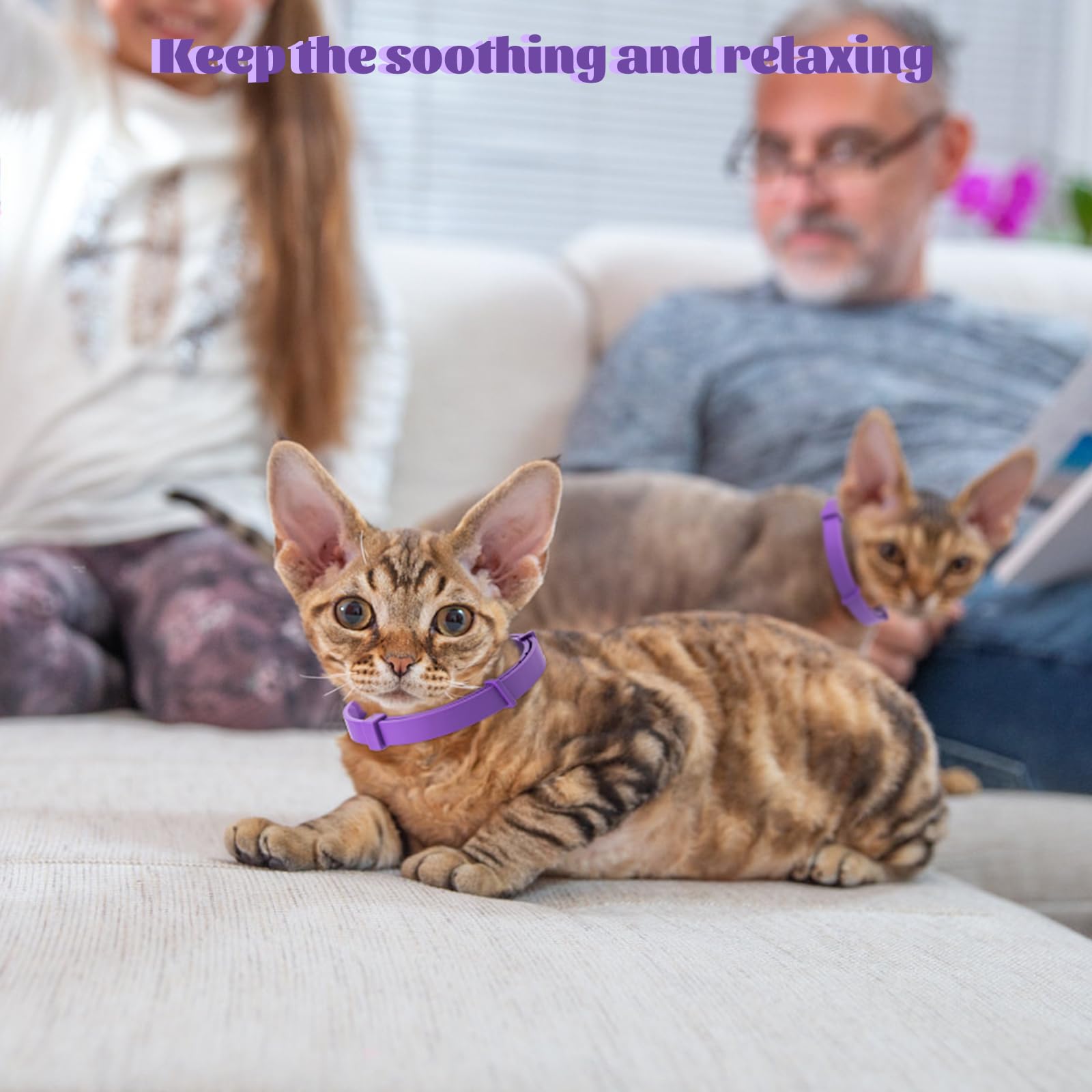 4 Pack Calming Collar for Cats & Kittens - Cat Pheromone Collars for Anxiety Relief for Peeing,Meowing,Fighting,Scratching - image 7
