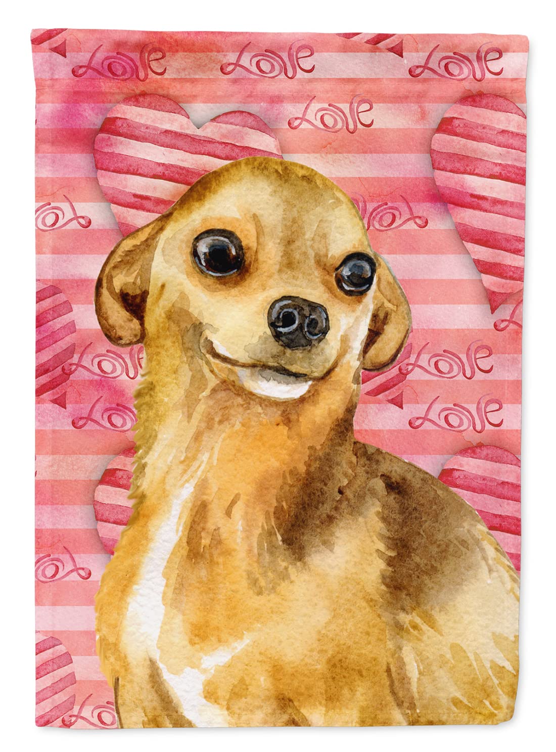 Drapeau Chihuahua en toile anti-décoloration grand format multicolore pour maison