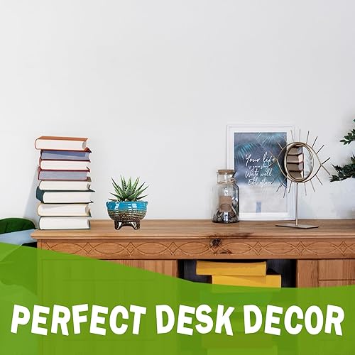 Miniatura 17 de Maceteros de cerámica para suculentas de 4.3 pulgadas con drenaje, tamaño pequeño, para flores, plantas de interior y cactus, paquete de 5