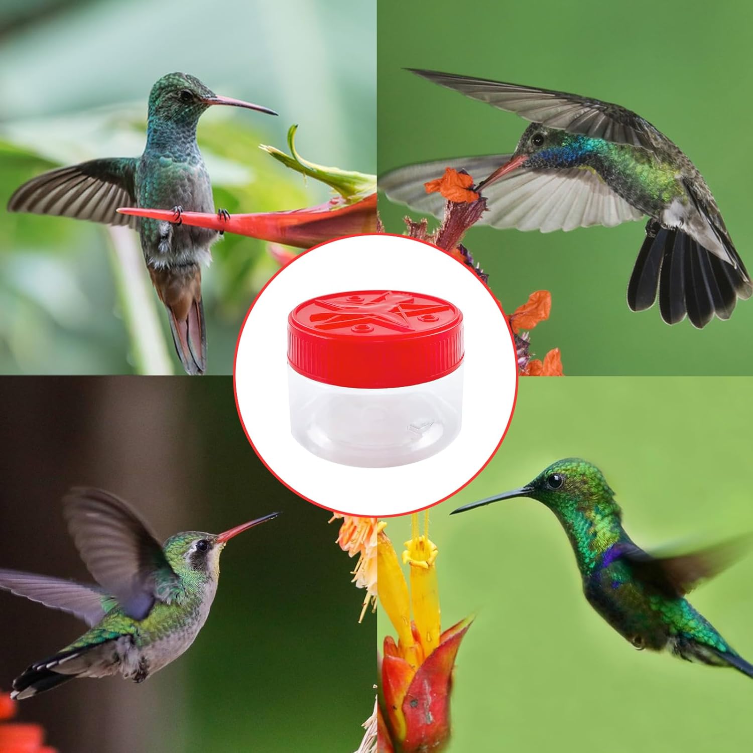 2025 Hand Hummingbird Feeders, Hummingbird Handheld Feeder, Handheld Bird Feeder Bottle Hummingbird Feeder Window Hummingbird for Outdoor Supplies - Image 2