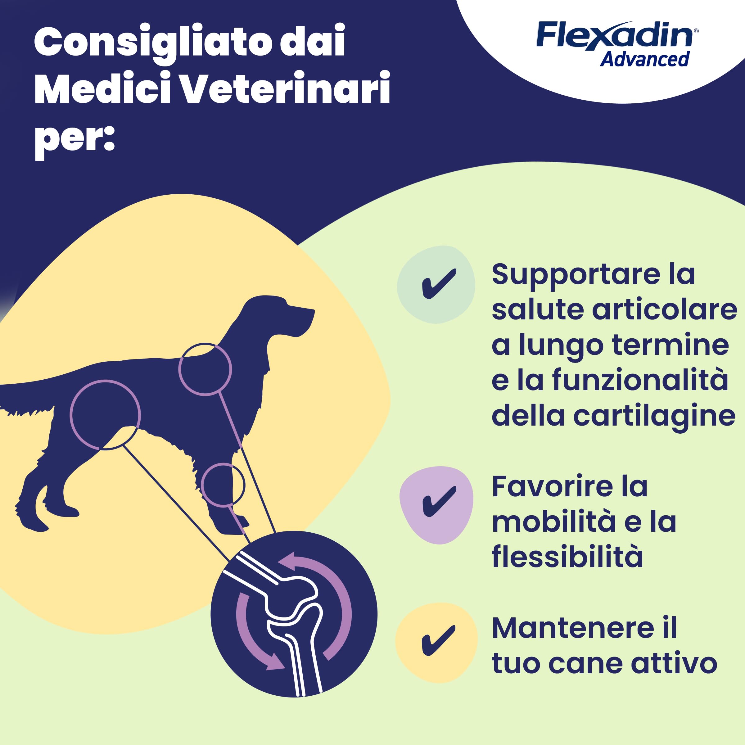 Vetoquinol Flexadin Advanced Cane | Mangime complementare per Cani | Ideale per il supporto delle articolazioni anche in corso di Osteoartrite | 60 Tavolette Appetibili, 1 tavoletta al giorno
