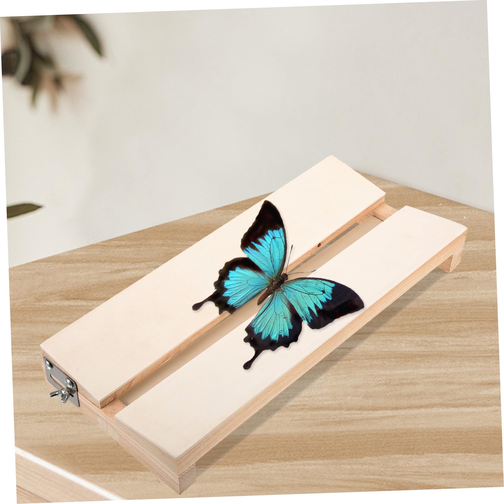 Yardenfun Adjustable Butterfly Specimen Display Board Science Education Easy to Use for Students Adjustable Spacing for Various Insect for Specimen Collection and Presentation