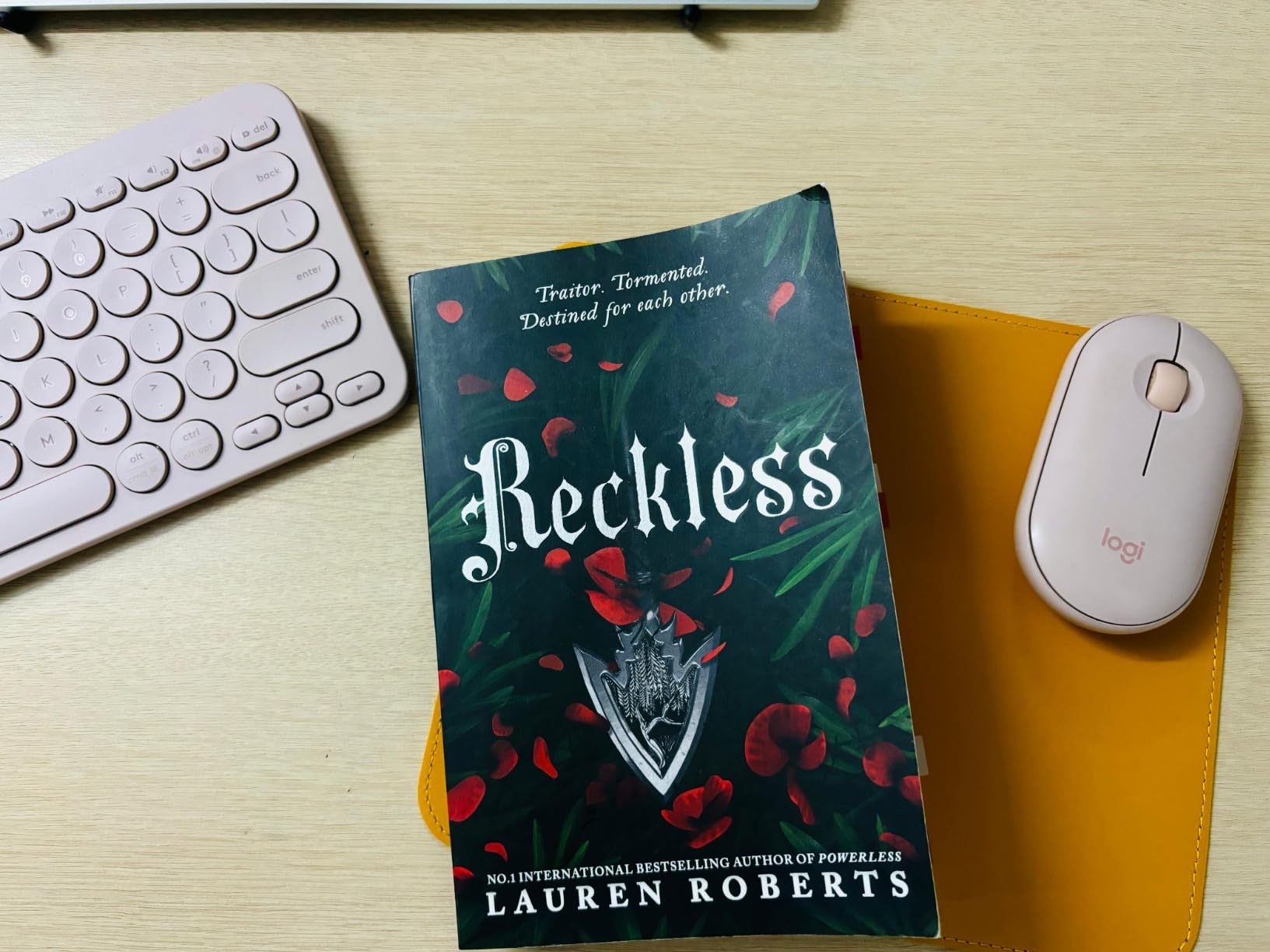 Reckless: TikTok Made Me Buy It! The epic romantasy series not to be ...