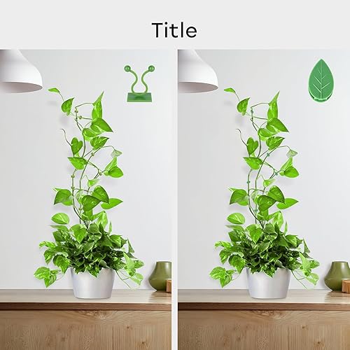 Miniatura 6 de GROWNEER 120 clips de pared para escalada de plantas, clips de pared de vid, clips de escalada de plantas con 72 calcomanías adhesivas acrílicas,