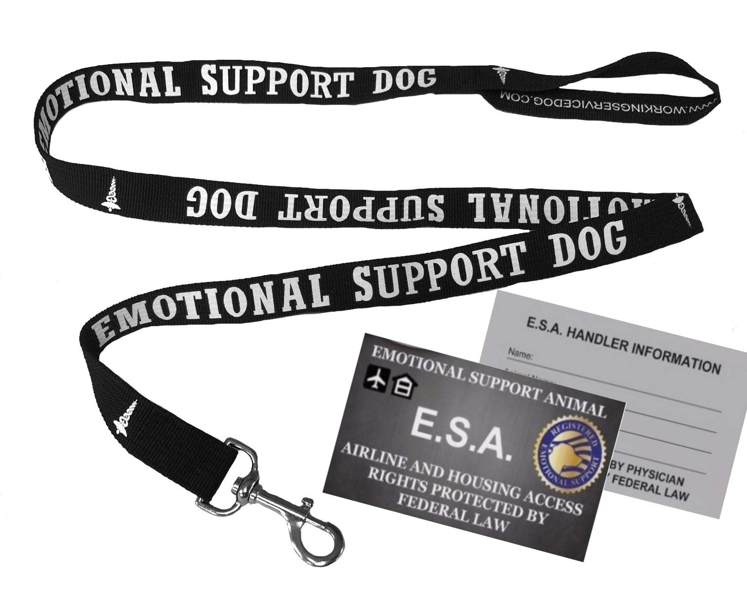 support dog vest amazon