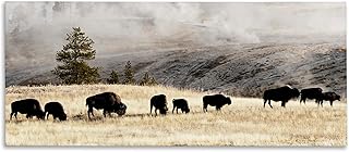 Stupell Industries 'Grazing Bison Foggy Countryside', Canvas Art, 48 x 20 Inches, Easy to Hang and Sturdy, Made in USA, by Danita Delimont