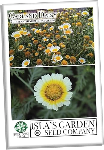 Guirnalda de crisantemo semillas de margarita, más de 1500 semillas de reliquia por paquete, semillas de jardín de Isla (semillas de jardín de