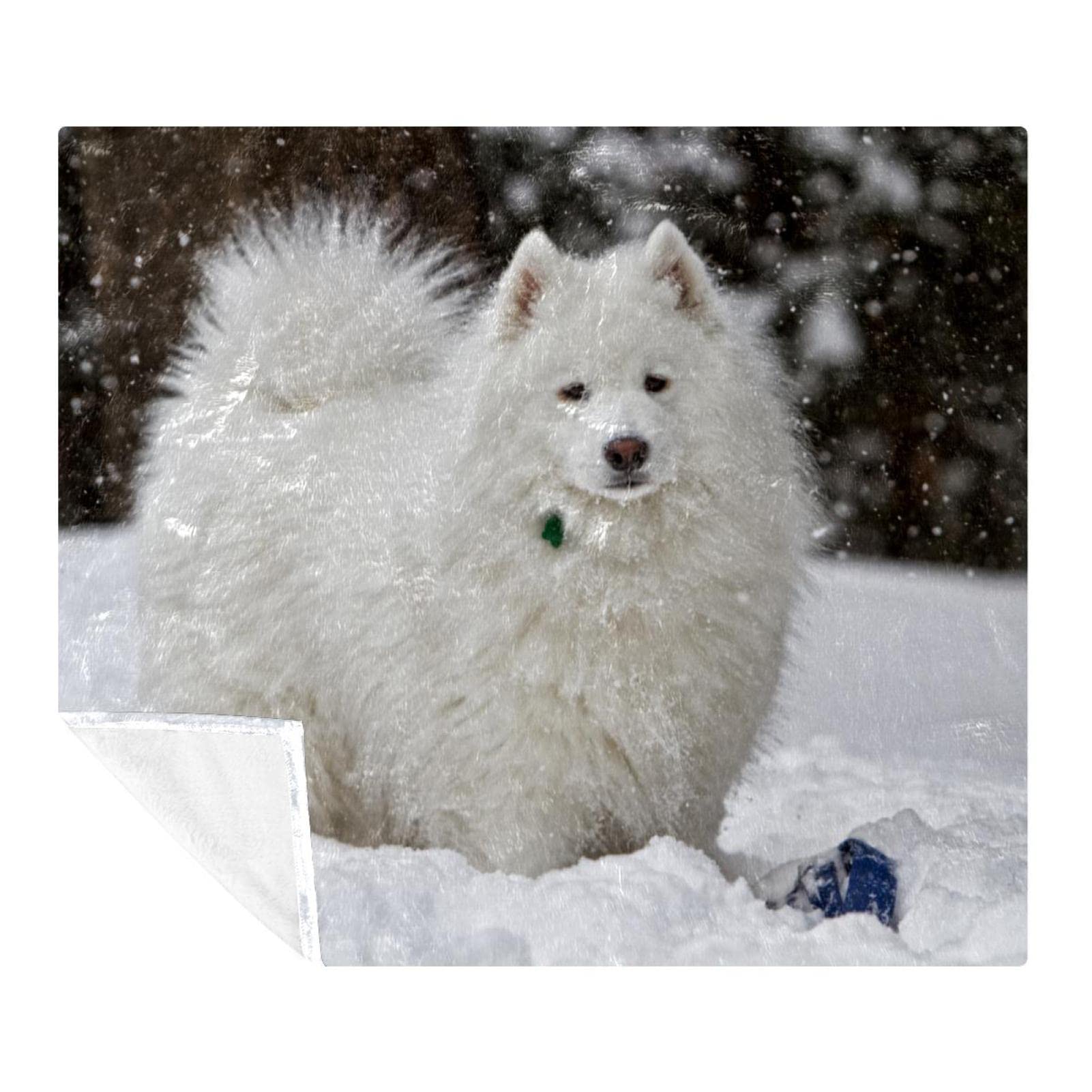 Couvertures chaudes et douces haut de gamme motif chien Samoyède