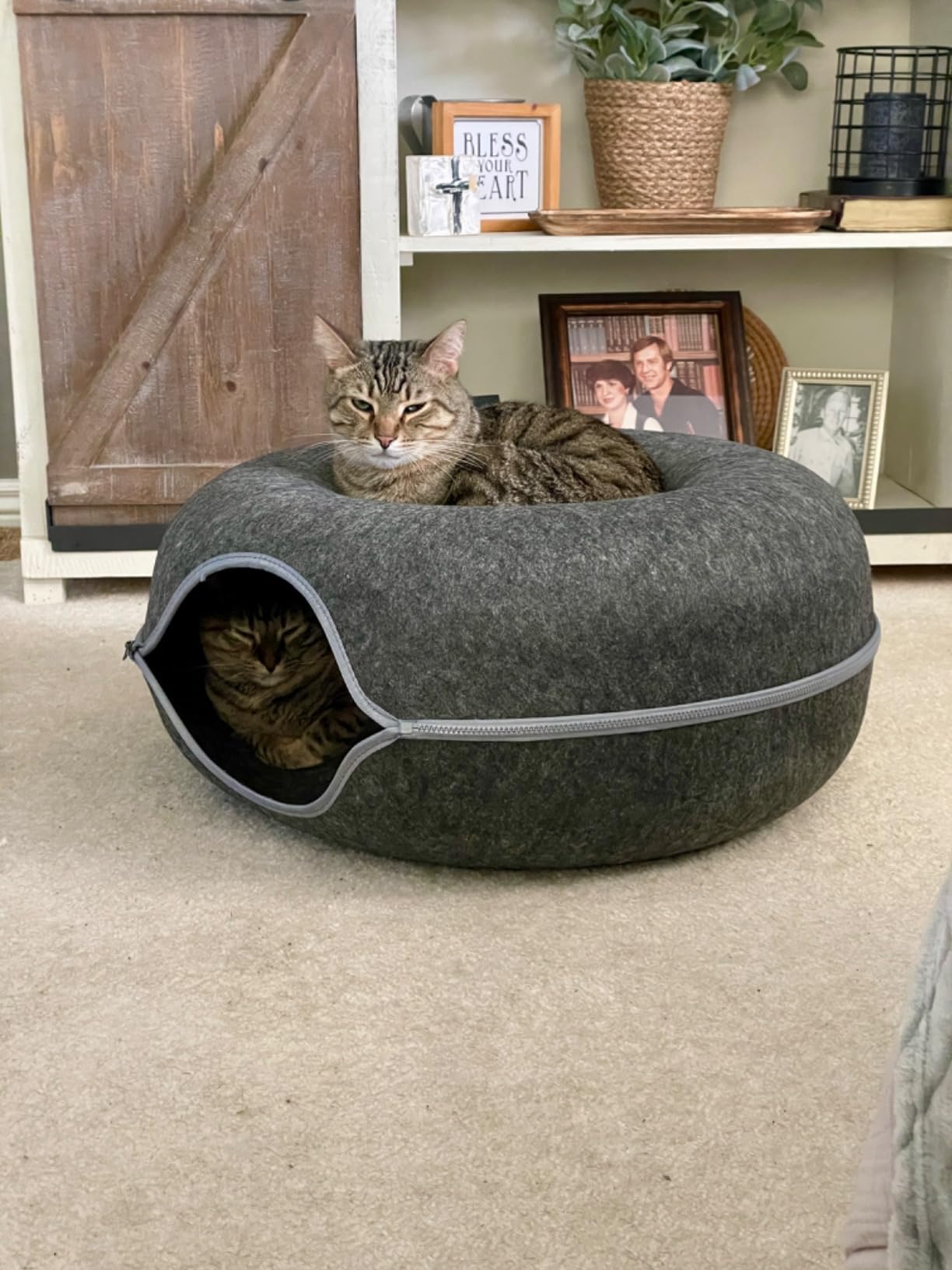 Large Cat Tunnel Bed for Indoor Cats with 3 Toys, Scratch Resistant Donut Cat Bed, Up to 30 Lbs (L 24x24x11, Dark Grey) photo review