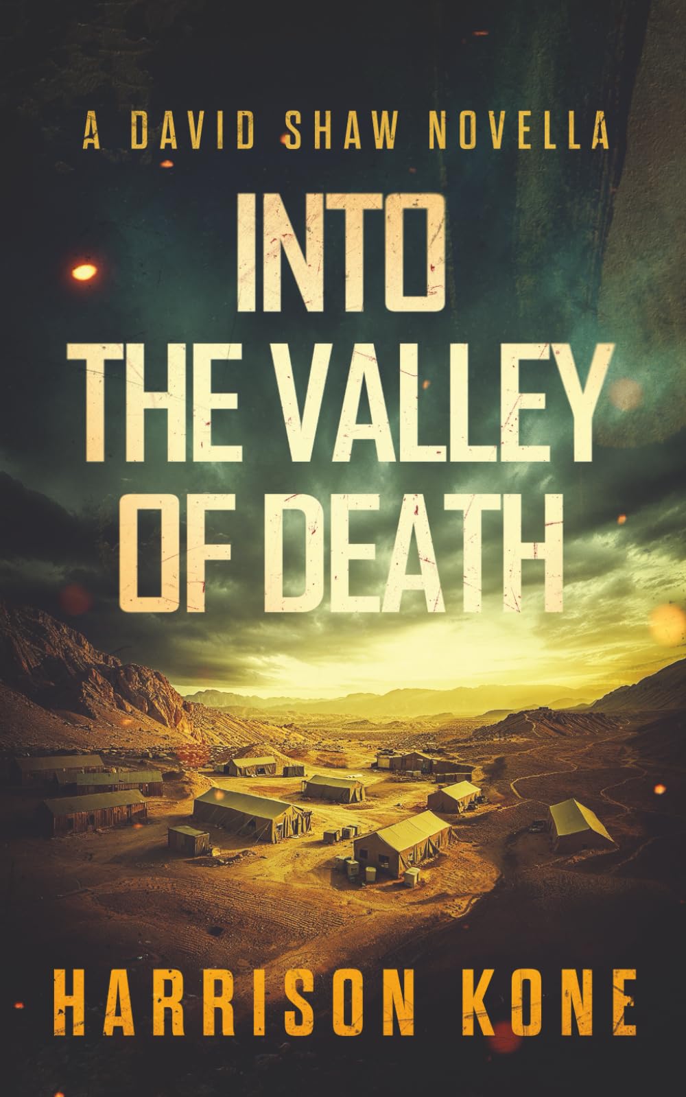 Into the Valley of Death (David Shaw)