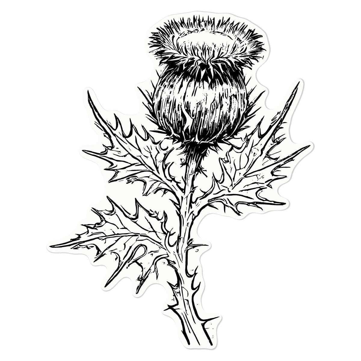 Azeeda Medium 210mm 'Scottish Thistle' Clear Static Window Cling Sticker/Decal (Black) (WC00105700)