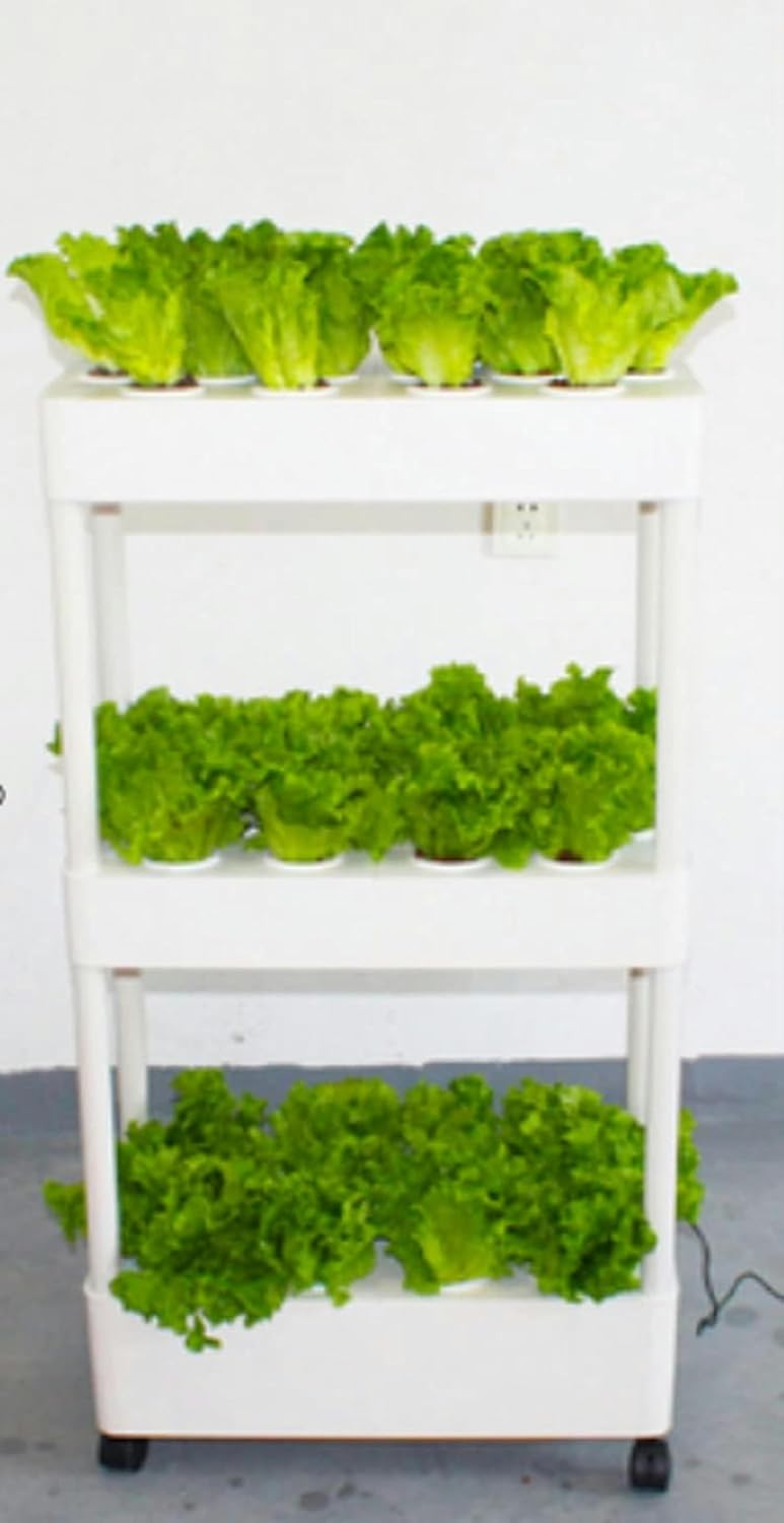 XENITE Hydroponics Growing System Indoor Home Used Hydroponic Tower Growing System Grow Planter Box 3Layers Aeroponic System Indoor Vertical Garden Tower with Led Light Hydroponic Tower (Color : Bi