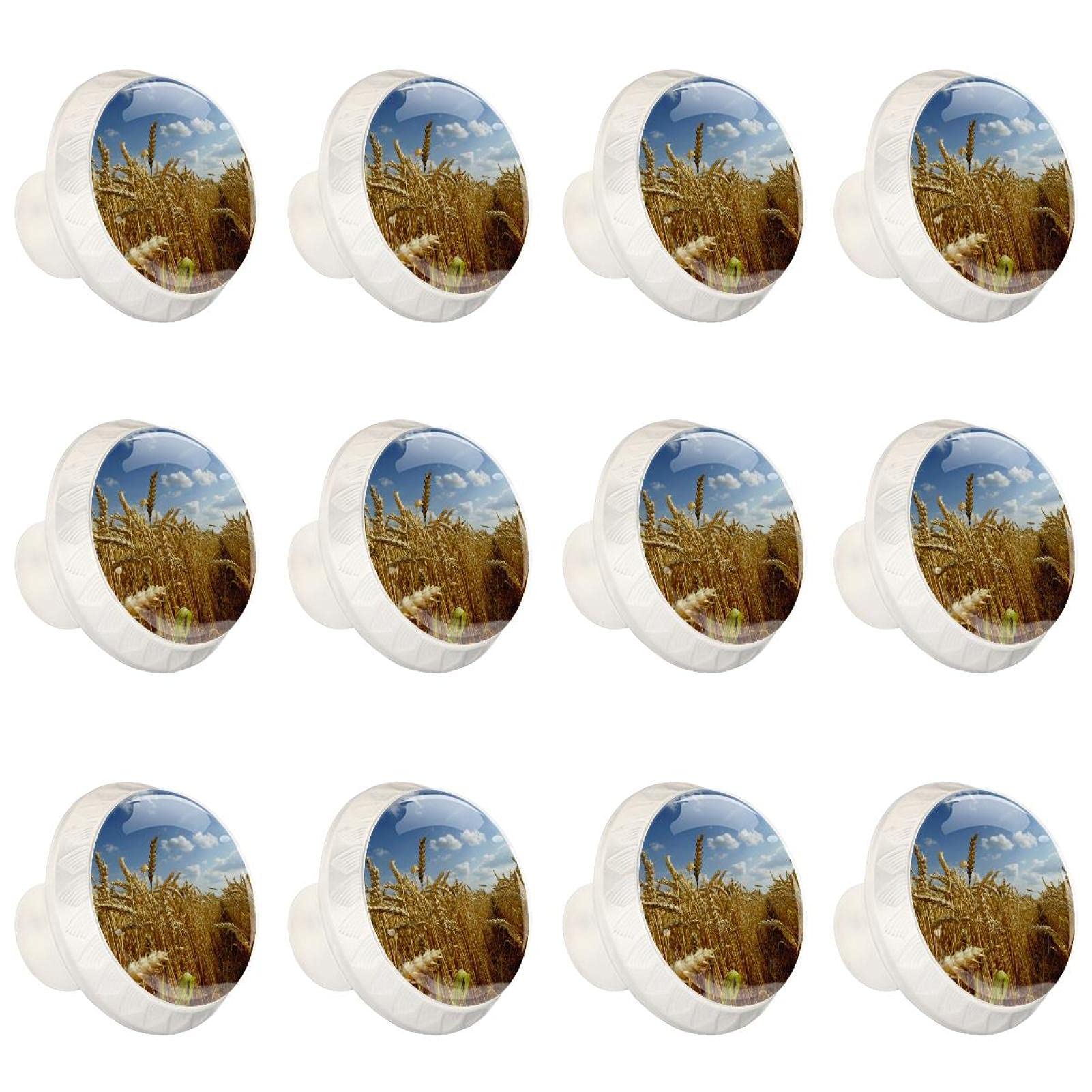 Boutons d'armoires pour rénover vos vieux tiroirs de cuisine avec le motif épi de maïs