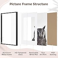 Vista 572 de Fun Memories Portarretratos de metal de 16 x 20 pulgadas con paspartú de 11 x 14 pulgadas, acabado de aluminio cepillado, parte delantera de vidrio
