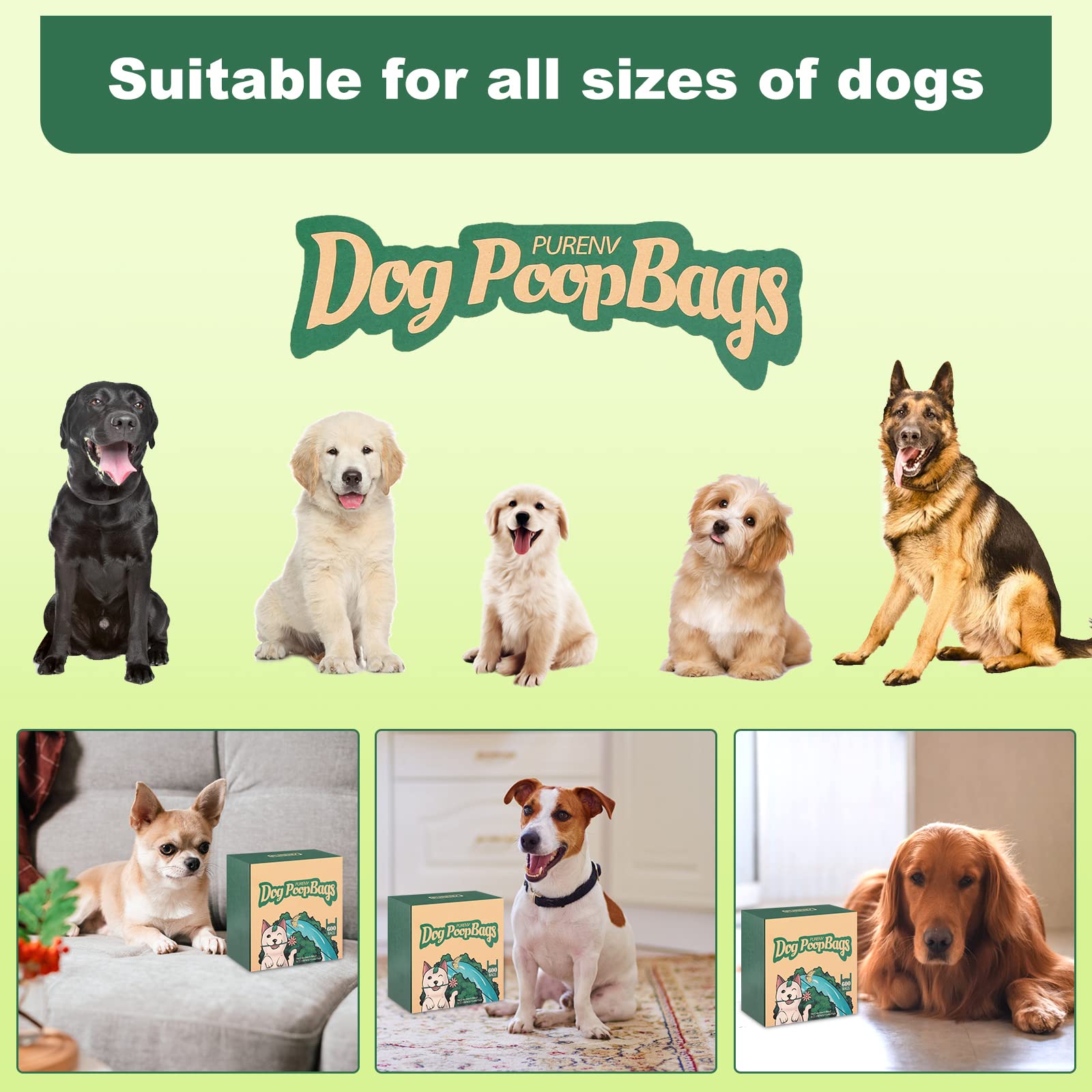 Hundekotbeutel Biologisch Abbaubar mit Lavender Duft 600 Eco-Freundlich Kacktüten für Hunde mit Griff, Große 18 * 38 CM, 100% Auslaufsicher, Extra Dick und Stark 10-Monatsvorrat mit Spenderbox