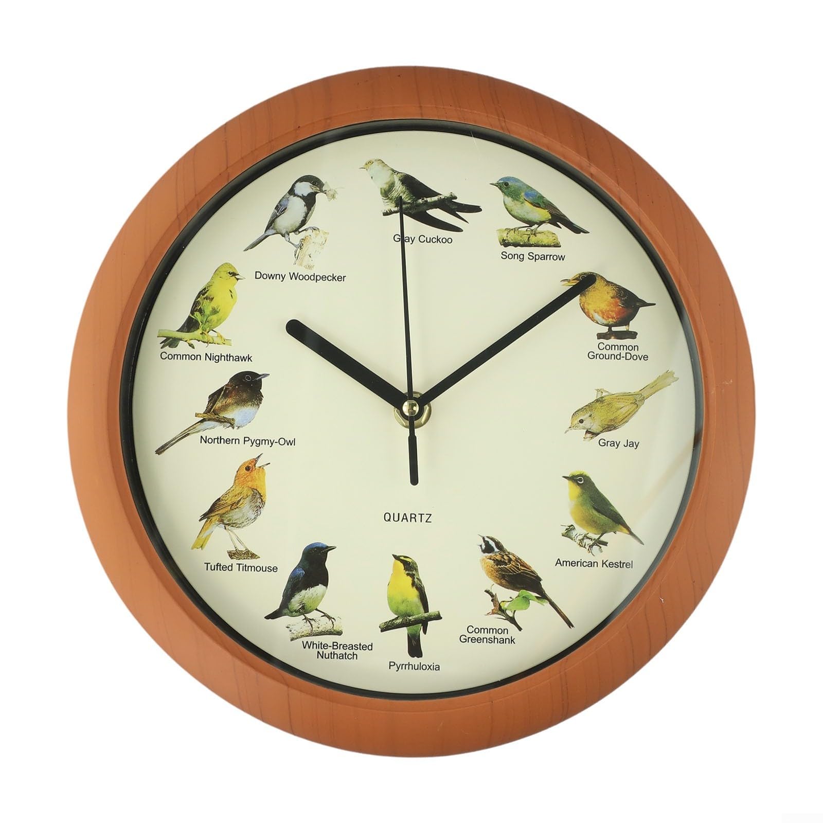 LVYXON 10inch Singing Bird Wall Clock, Quartz Singing Bird Wall Clock with Names Songs, Customizable Sound Settings For Home decoration