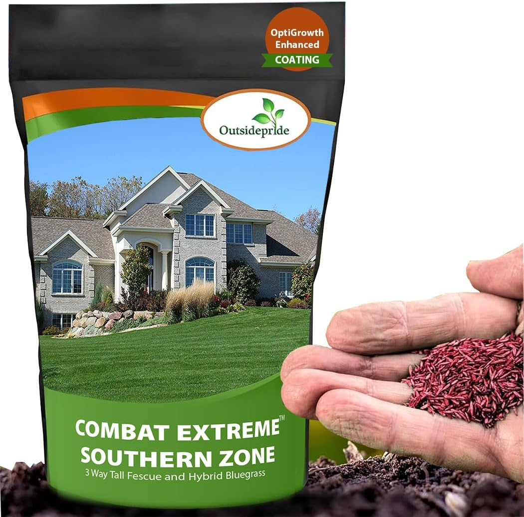 Amazon.com : Outsidepride Combat Extreme Southern Zone Grass Seeds for ...