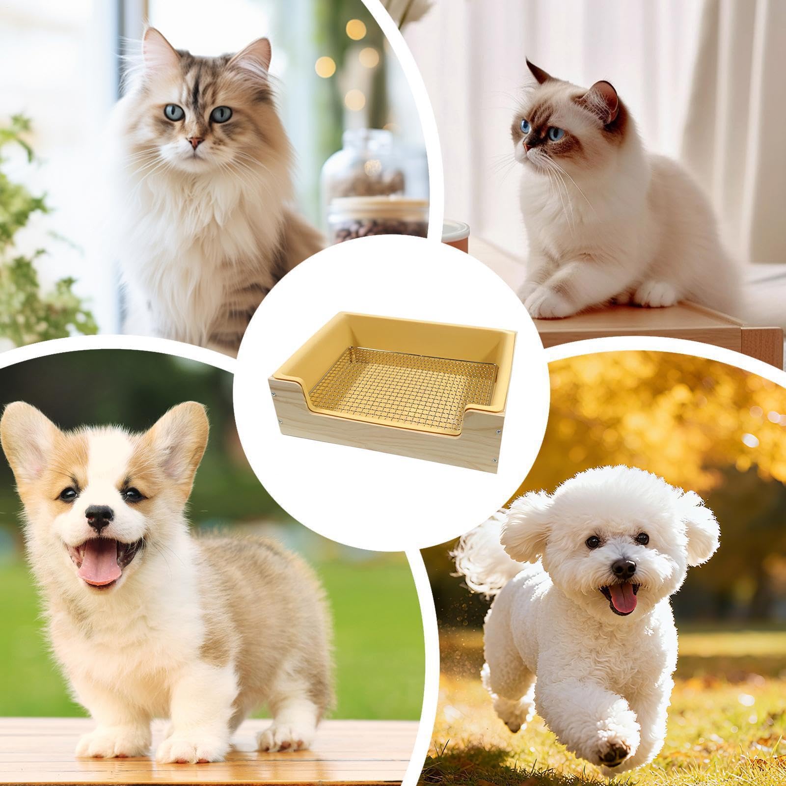 Lettiera per Furetti Smontabile con Griglie in Acciaio Inossidabile e | Lettiera per Piccoli Animali Adatto a Furetti, Cincillà, Ricci, Topi e Scoiattoli