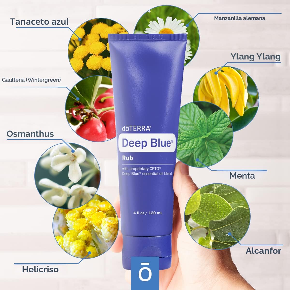 Amazon.com: doTERRA Deep Blue Rub : Salud y Hogar