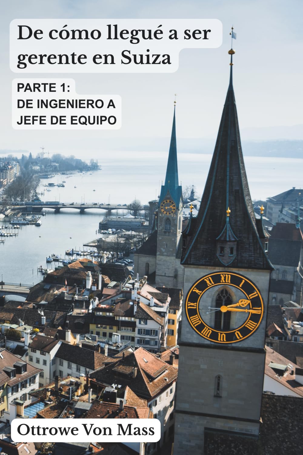 De cómo llegué a ser gerente en Suiza - Parte 1: De ingeniero a jefe de equipo