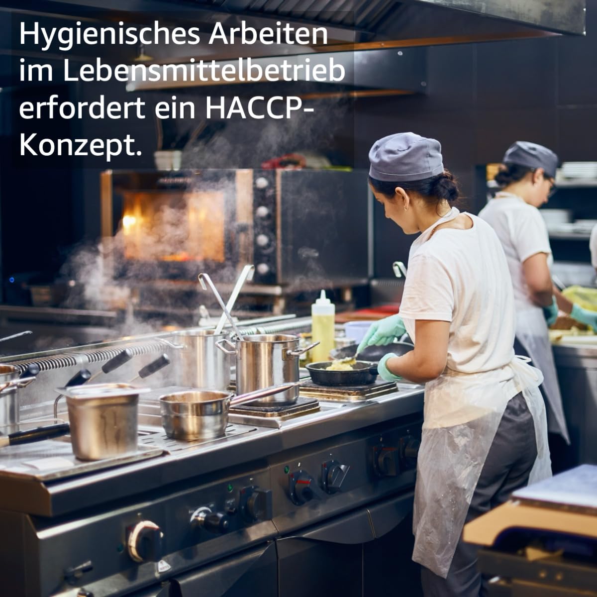 Hygiene Netzwerk HACCP-Konzept für Gastwirte | Checklisten & Arbeitsanweisungen | Hotel Gastronomie| Hygieneschulung | Infektionsschutzgesetz Schulung | Power-Point-Präsentation auf CD oder USB-Stick