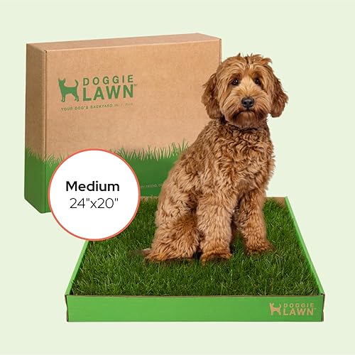 Miniatura 9 de DoggieLawn Almohadillas para orinar de cachorros de hierba real, caja de arena interior para cachorros, sin ensuciar, fácil entrenamiento para ir al