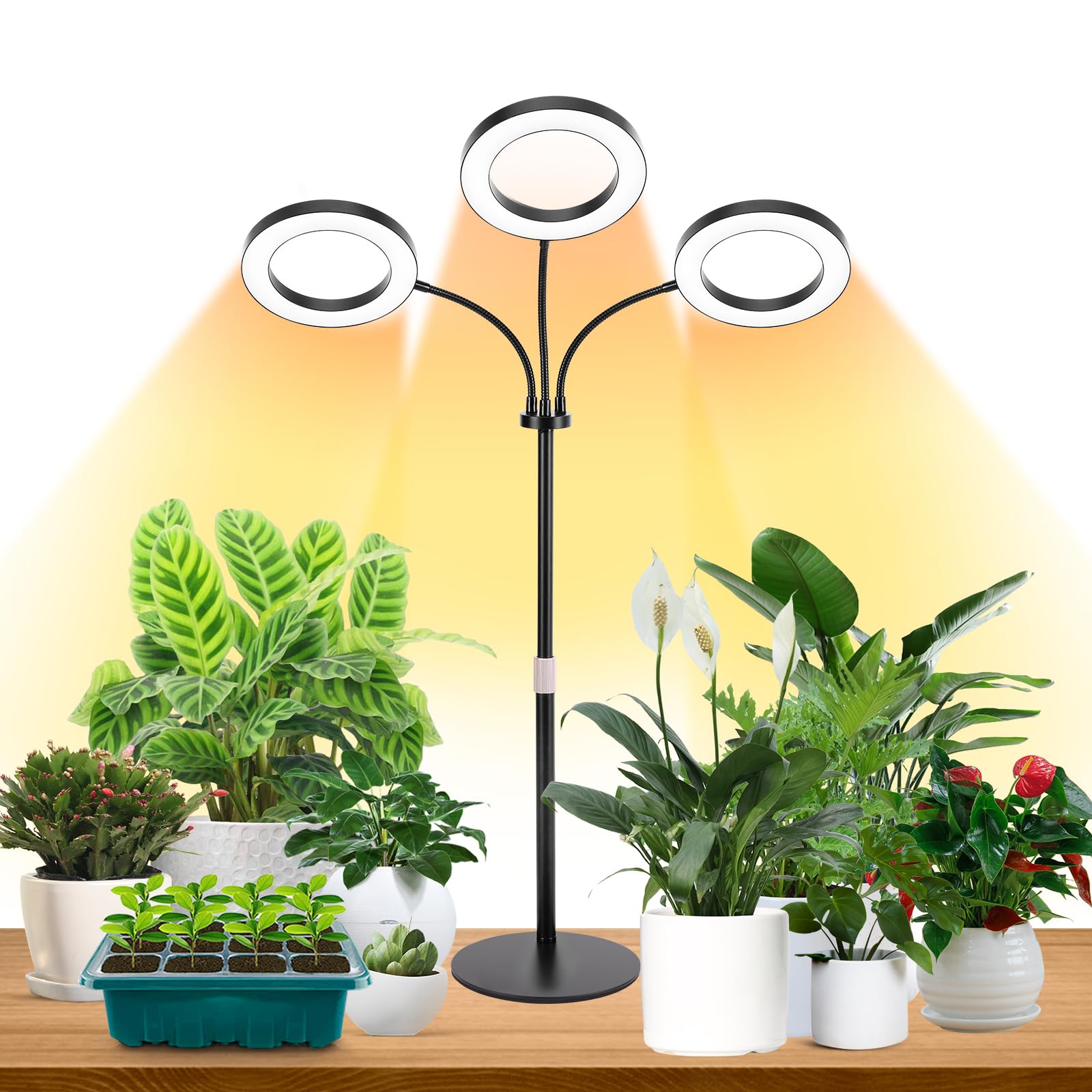 LBW Halo Plant Grow Light, Tri-Head Desk Grow Light for Indoor Growth, 72x3 LEDs Full Spectrum Grow Lamp with 4/8/12H Auto Timer, 4 Brightness Levels, Height Adjustable, Ideal for Indoor Plants, Black