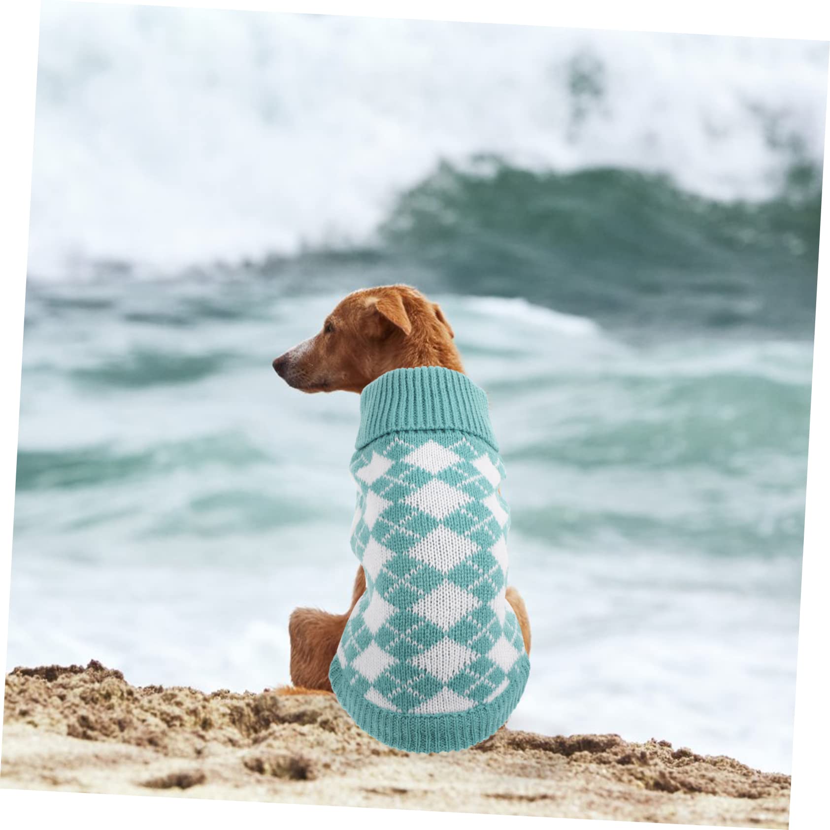PRETYZOOM 3pièces Pull pour Chien Doux Et Chaud Vêtement Automne-Hiver pour Animaux Style Élégant pour Petite Et Confortable Et Respirant