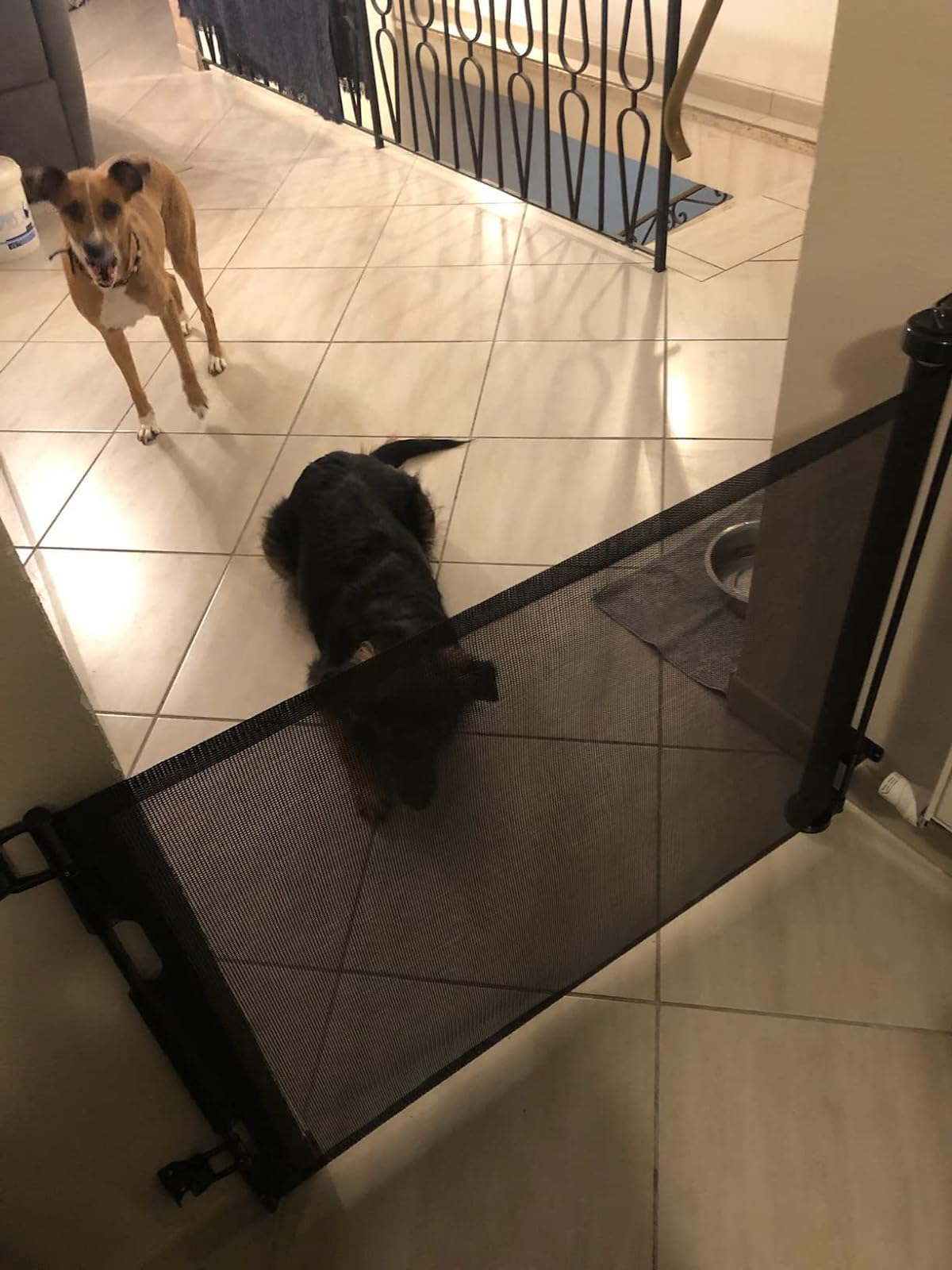 Barriera Di Sicurezza Retrattile Per Cani E Bambini - Larghezza Regolabile 150cm, Altezza 86cm - Bianco