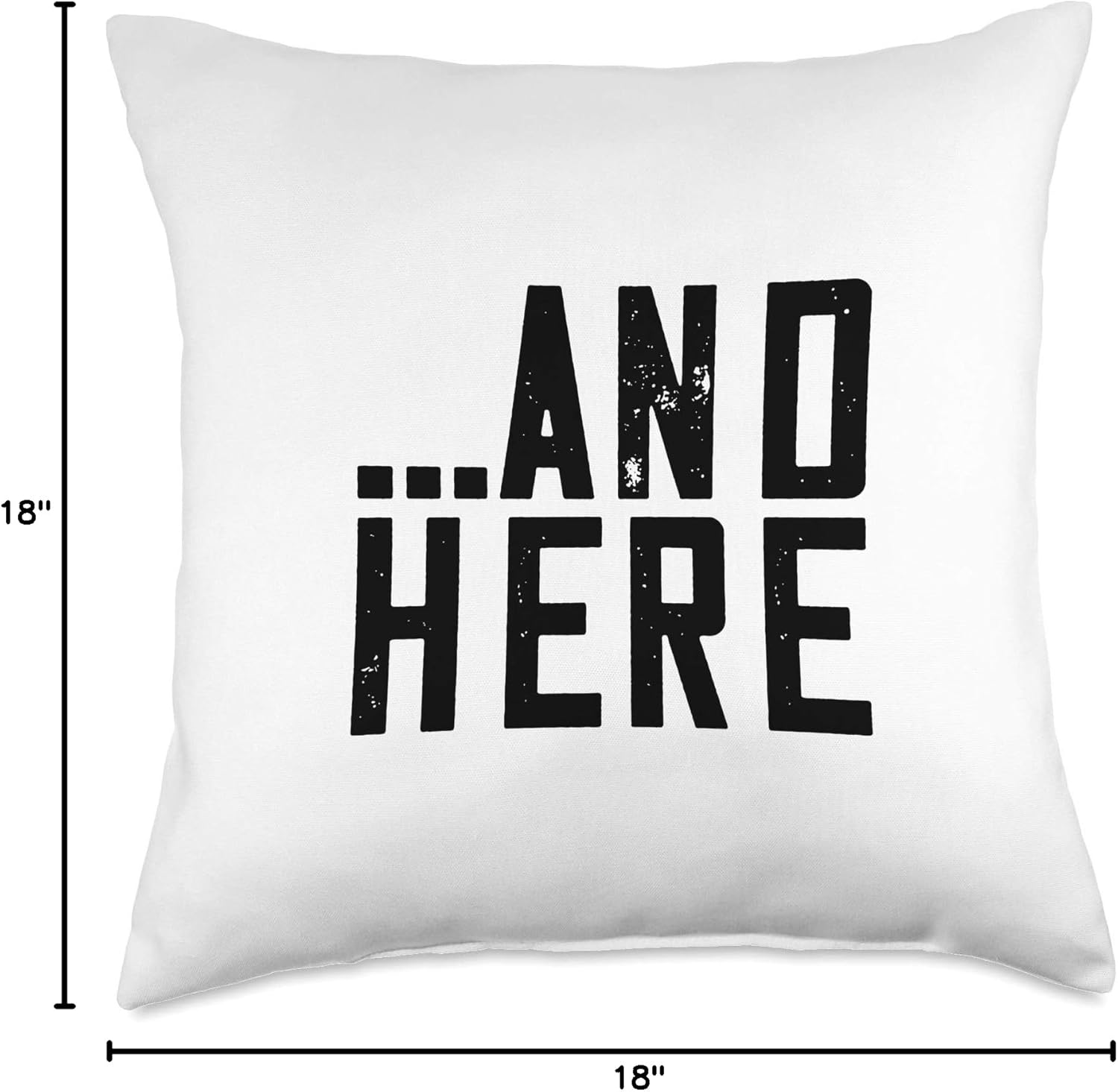 Funny Matching Pillow Set We Had Sex Here and Here Throw Pillow