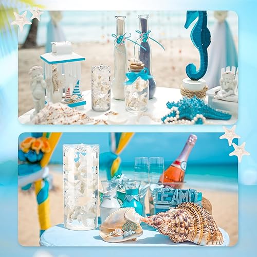 Miniatura 5 de DoubleFill 2000 piezas de jarrón flotante de conchas marinas con conchas marinas blancas naturales flotantes, bloque de vidrio esmerilado, caracola,