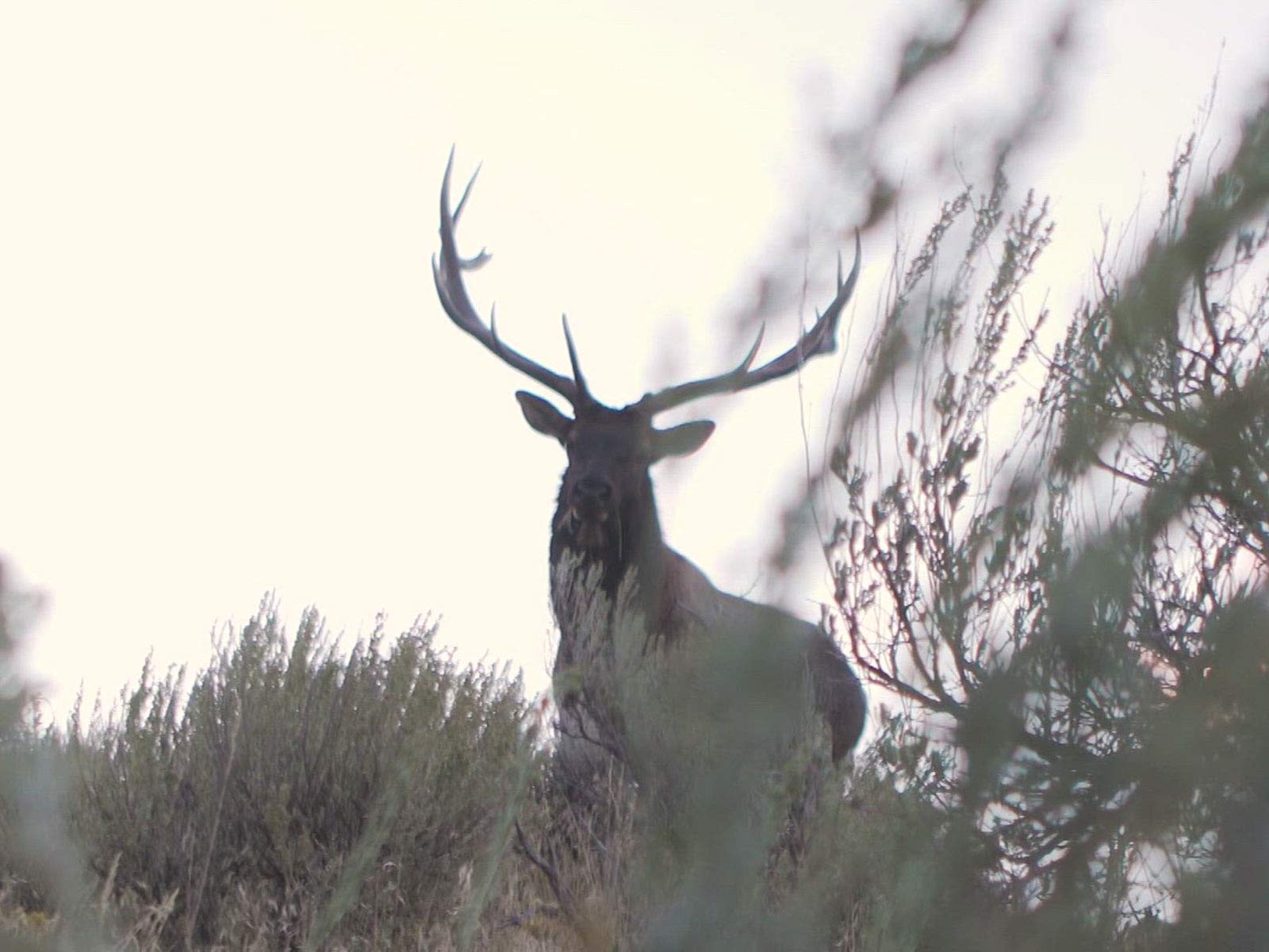 Watch Prime Revolution - Season 3 | Prime Video