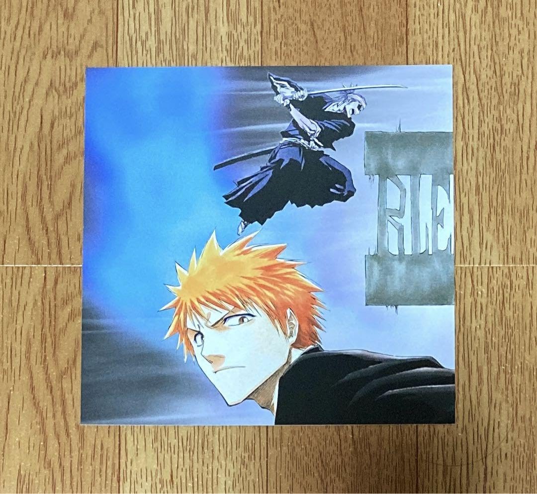 Amazon.co.jp: BLEACH ブリーチ 黒崎一護阿散井恋次 ピンナップ