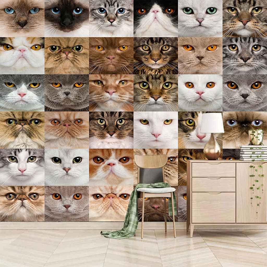 Papier peint photo chat trompe l\'oeil tableaux muraux
