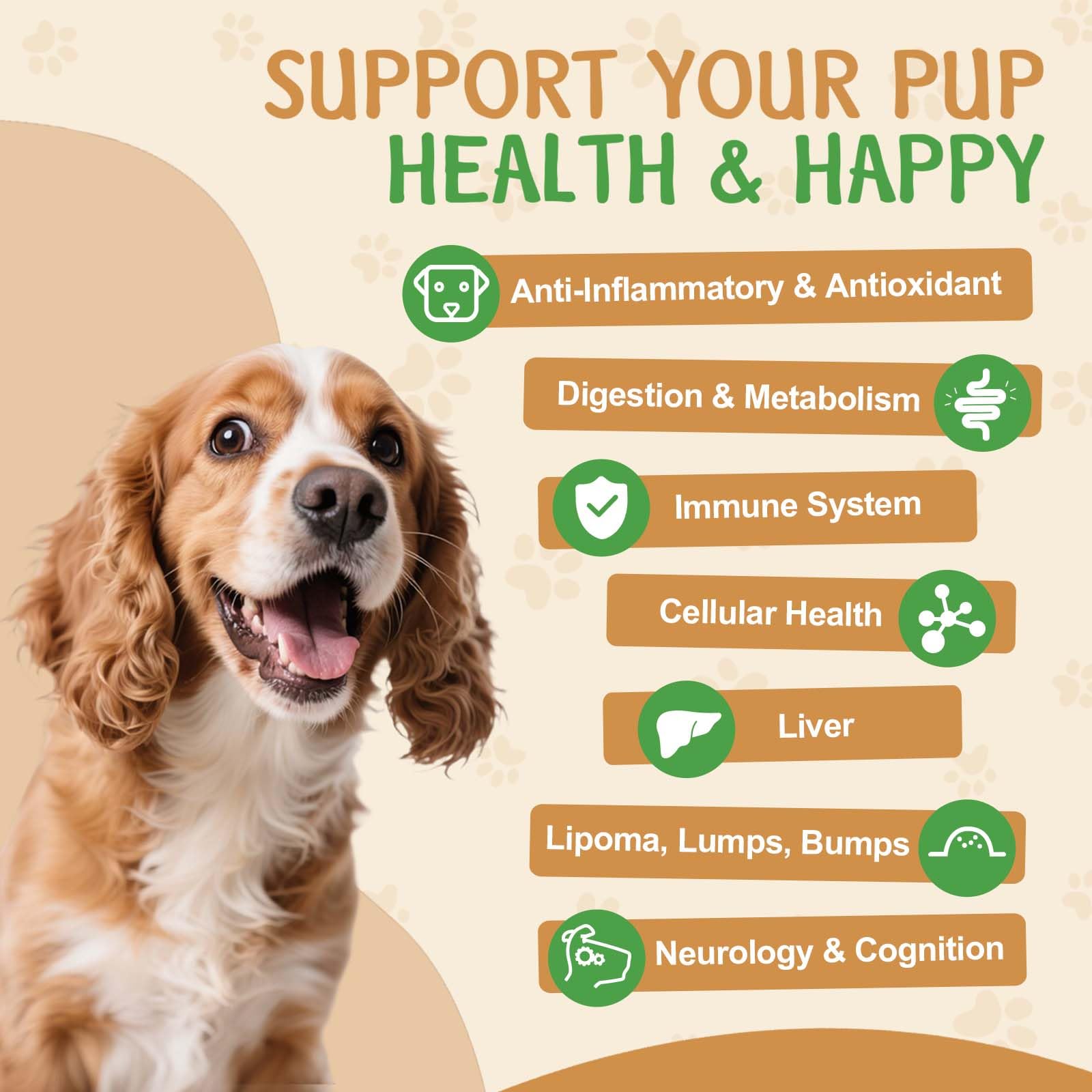 9 in 1 Fungo per cani - Integratore di funghi per cani - Sistema digestivo, pelle, articolazioni, immunità - con 9 funghi - Gusto pollo arrosto, 60ML