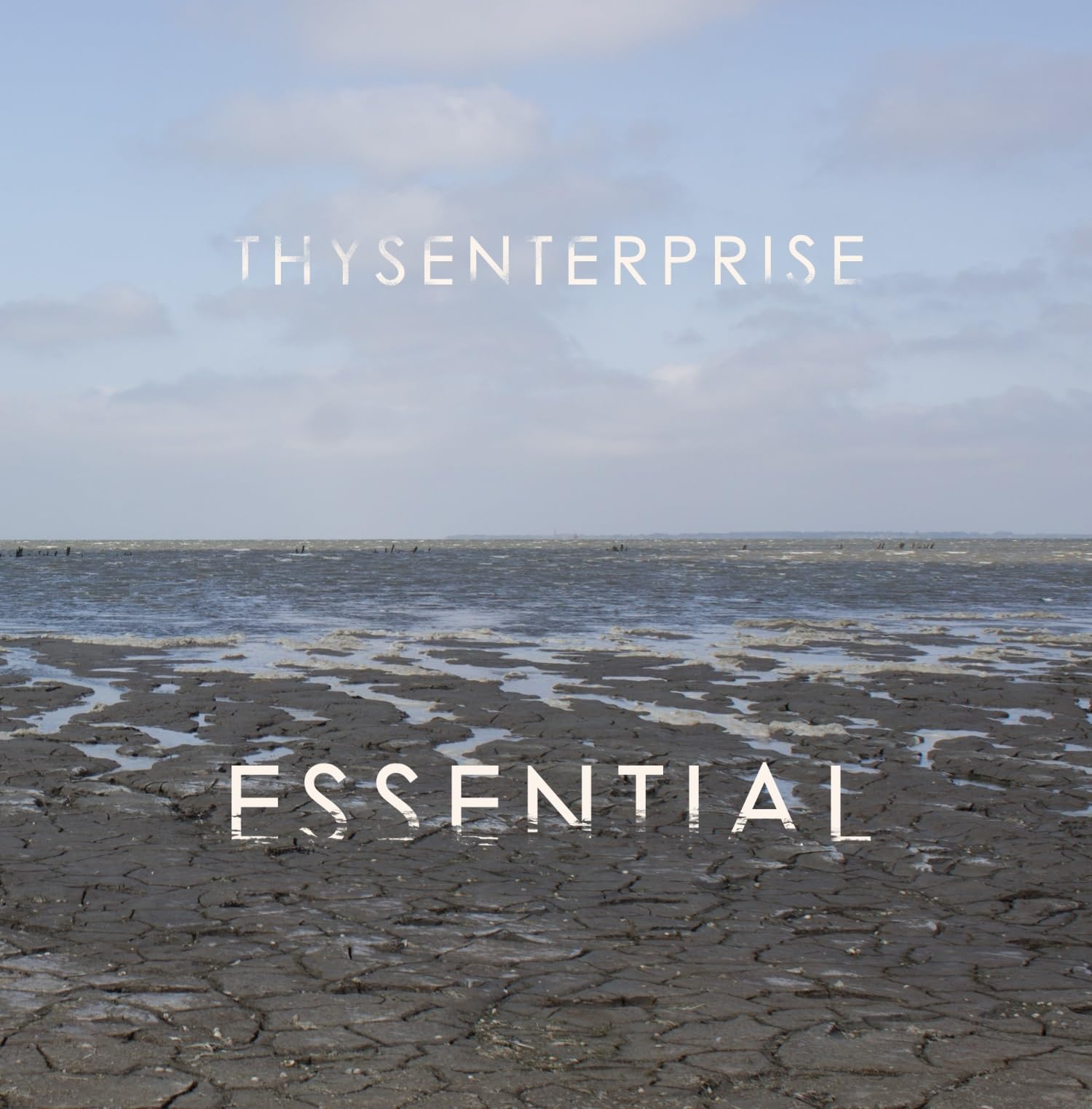 ESSENTIAL [VINYL]
