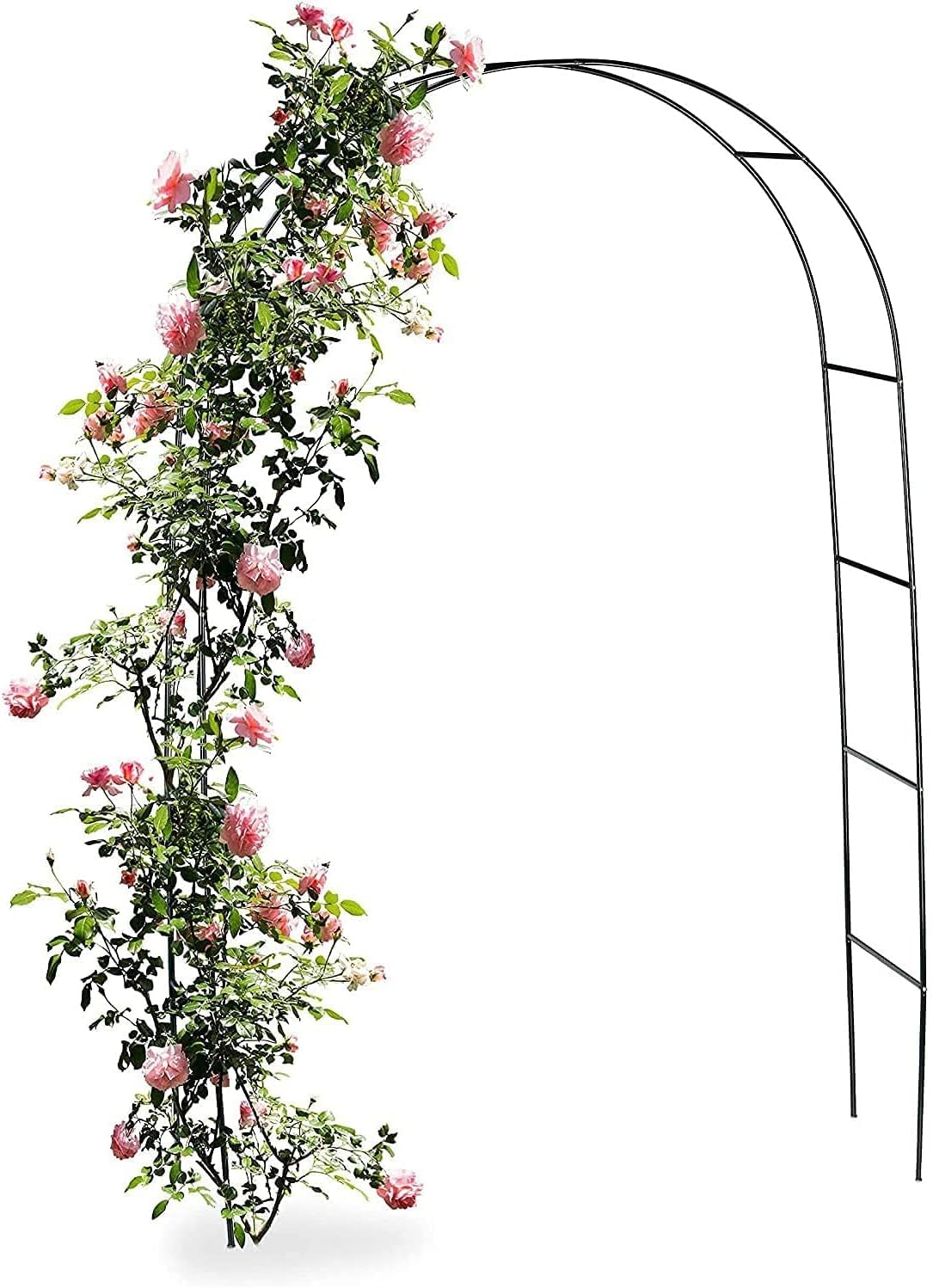 Arche de jardin en métal noir support robuste pour plantes grimpantes et rosiers