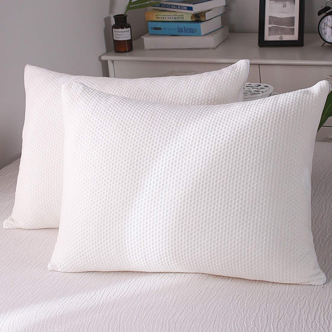 Memory Foam Pillow 2 Pack Standard Size for Neck Pain Cooling Bed Pillows Home & Hotel Collection with Removable Zipper Case