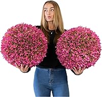 Vista 13 de 365 Curb Appeal Juego de 2 bolas topiarias grandes (mejor que un boj)