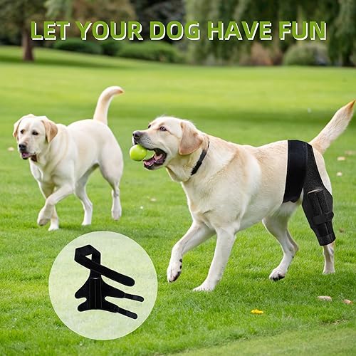 Miniatura 5 de Rodillera para perro para pierna trasera desgarrada del ligamento cruzado anterior, envoltura trasera ajustable para recuperación y prevención de