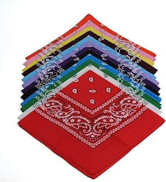 One Dozen/12pcs Assorted Bandanas 22X22 Inch 100% Cotton Novelty Double Sided Print Paisley Cowboy Bandana Party Favor Scarf Headband Handkerchiefs